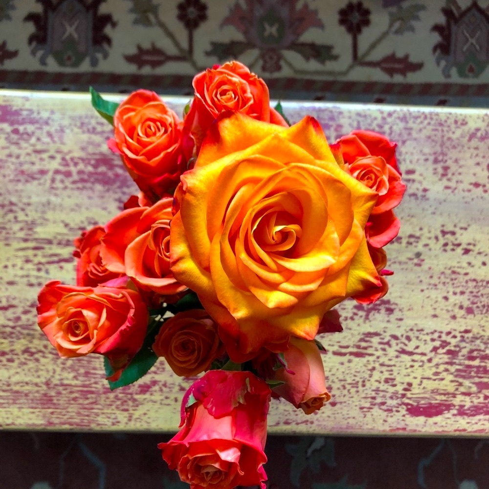 Meet your Posher, Jenna